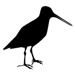 Similar image 1197066