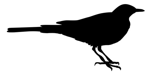 Similar image 1197069