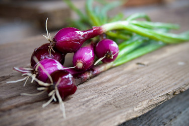 Similar image 1197070