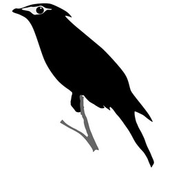 Similar image 1197071