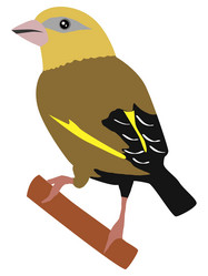 Similar image 1197073