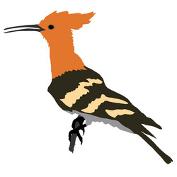 Similar image 1197075