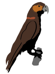 Similar image 1197076