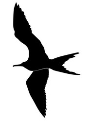 Similar image 1197084