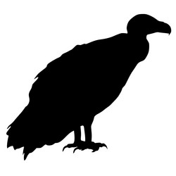 Similar image 1197093