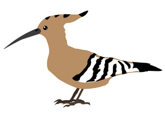 Similar image 1197096