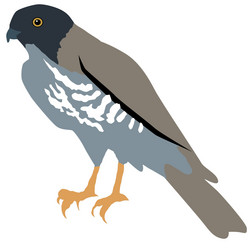 Similar image 1197097