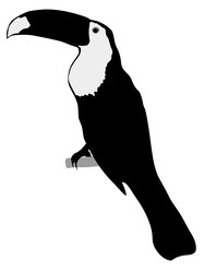 Similar image 1197100