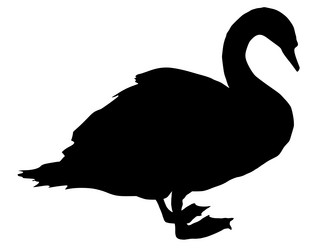 Similar image 1197101