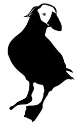 Similar image 1197102