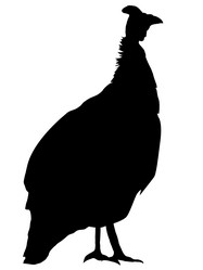 Similar image 1197107