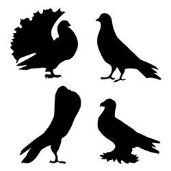 Similar image 1197110