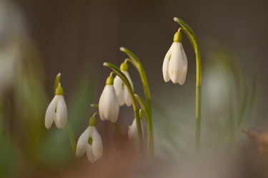 Similar image 1197114