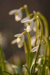 Similar image 1197115