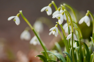 Similar image 1197117