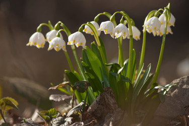 Similar image 1197118