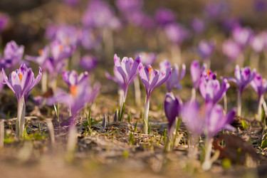 Similar image 1197119