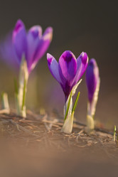 Similar image 1197120