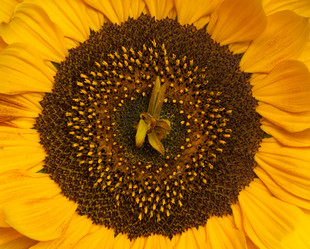 Similar image 1197154