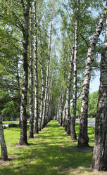 Similar image 1197156