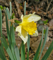 Similar image 1197161