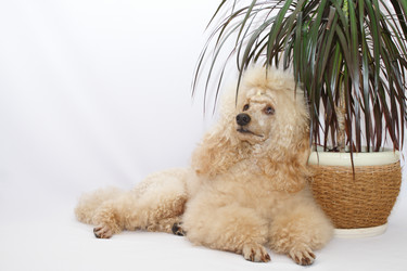 Similar image 1197168