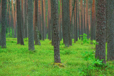 Similar image 1197170