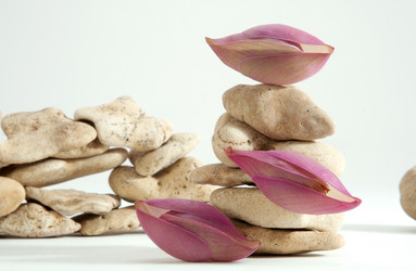 Similar image 1197211