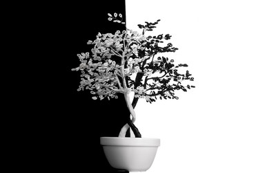 Similar image 1197212