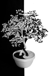 Similar image 1197213