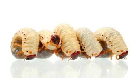 Similar image 1197221