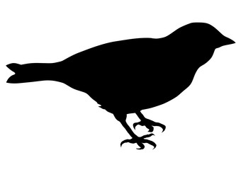 Similar image 1197260