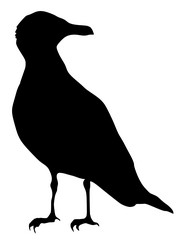 Similar image 1197261