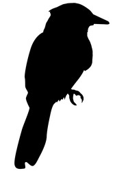 Similar image 1197262