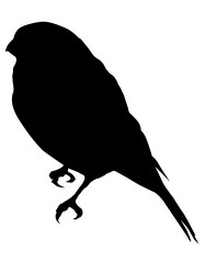 Similar image 1197263