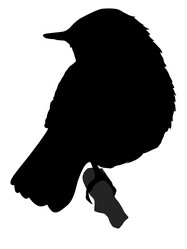 Similar image 1197265