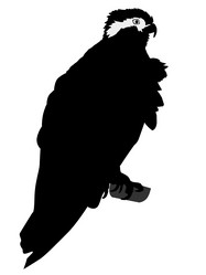 Similar image 1197266