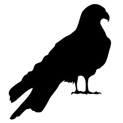 Similar image 1197270