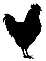 Similar image 1197291