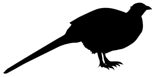 Similar image 1197292