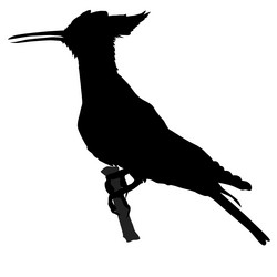 Similar image 1197303