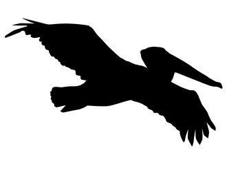 Similar image 1197304