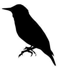 Similar image 1197305