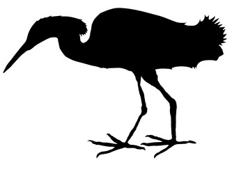 Similar image 1197306