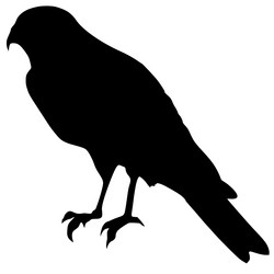 Similar image 1197307