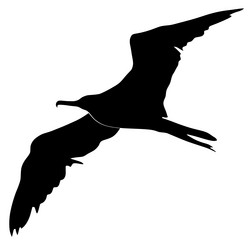 Similar image 1197309