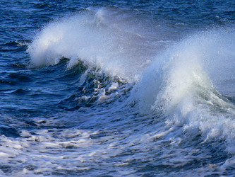 Similar image 1197344