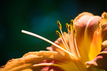 Similar image 1197349