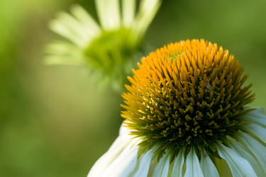 Similar image 1197350