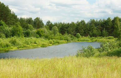 Similar image 1197395